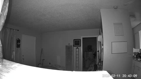 Ghosts, live in my complex...caught on motion detected camera