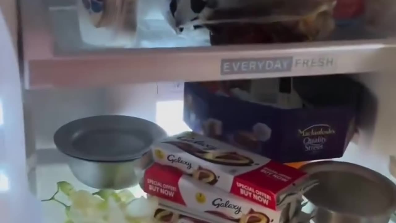 Pup sleeping in fridge 😍❤️🥶