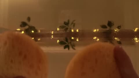 [ASMR💤] First Person Skin Care "Hydro Boost Treatment" 🧖‍♀️ No Talking, Layered sounds
