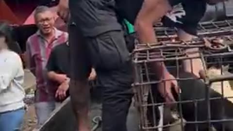 This hero spends all his money on this