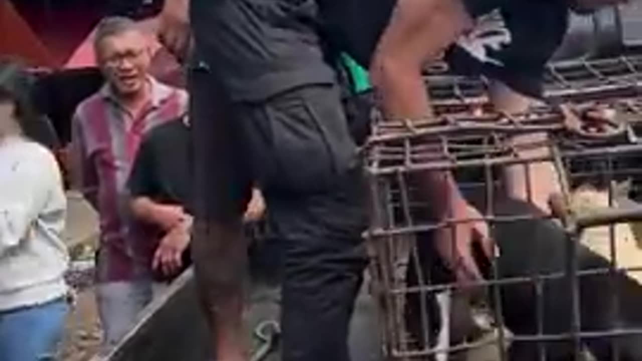 This hero spends all his money on this