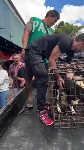 This hero spends all his money on this