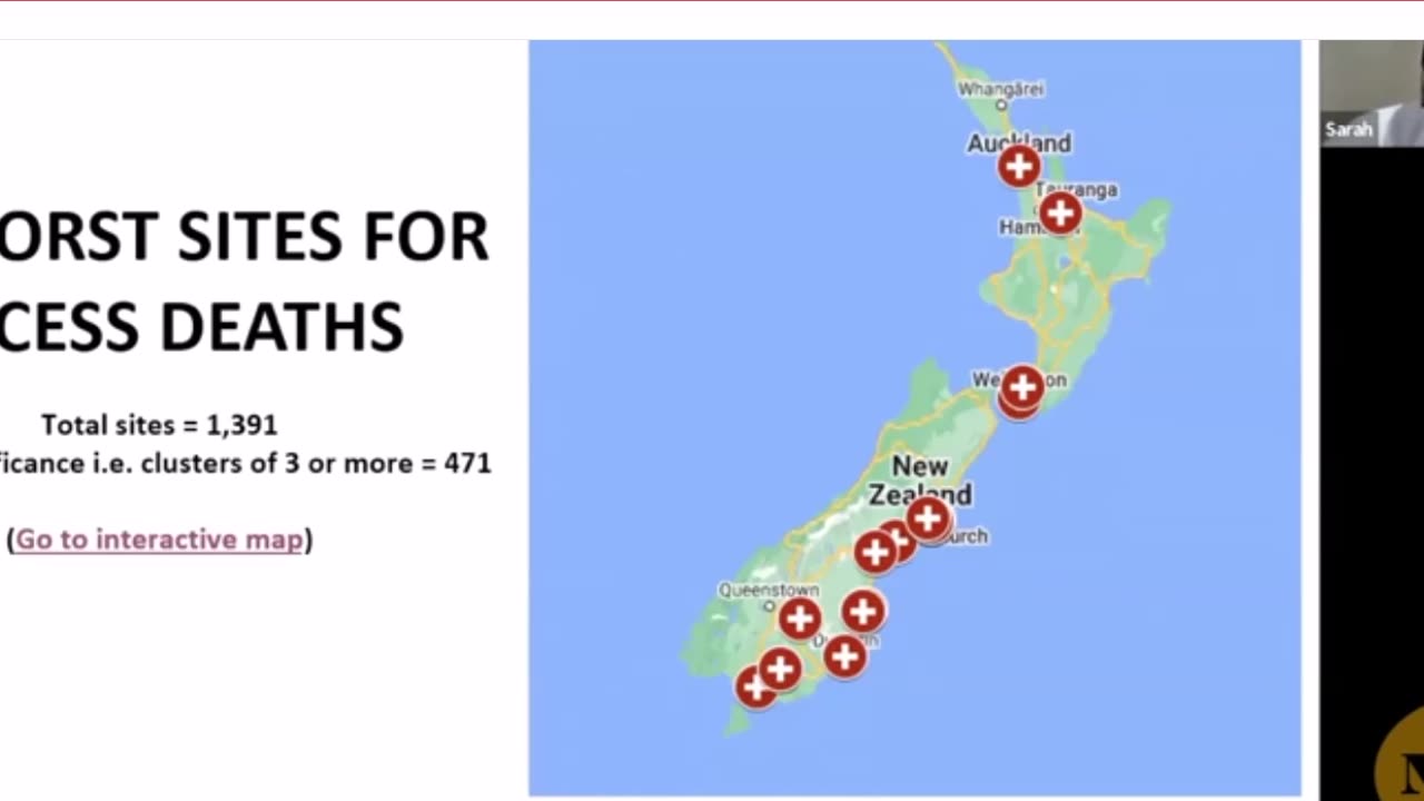 Part 2 MOAR Barry Young NZ Vaxx Death Data - Interview with Liz Gunn