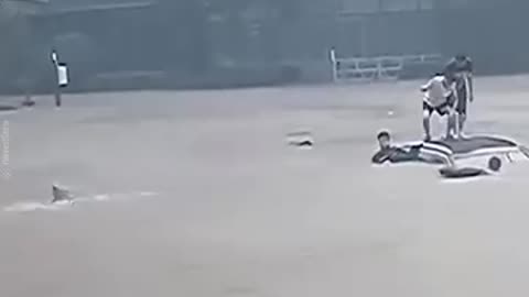 Grandmother and 2 Children Saved at Last Second in Submerged Car