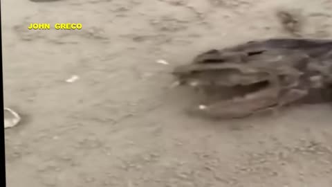 What The Fuck !!!👆👆👀 ( 2 Λεπτα🔥)