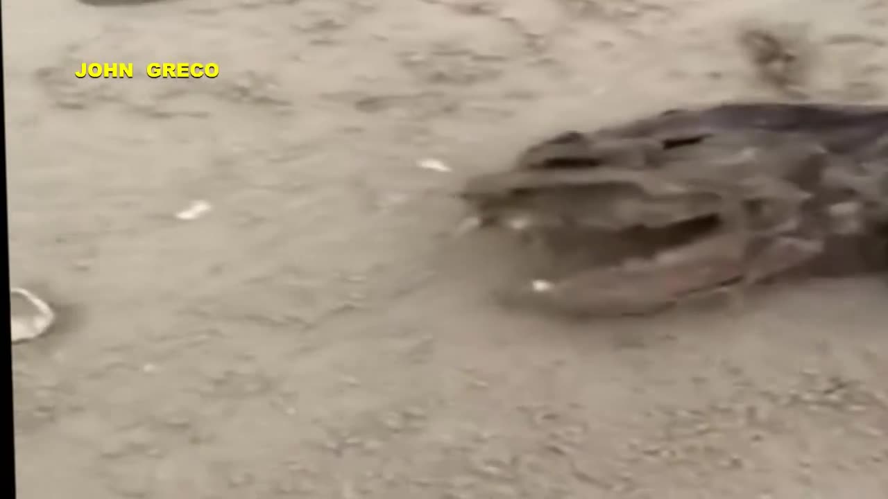 What The Fuck !!!👆👆👀 ( 2 Λεπτα🔥)