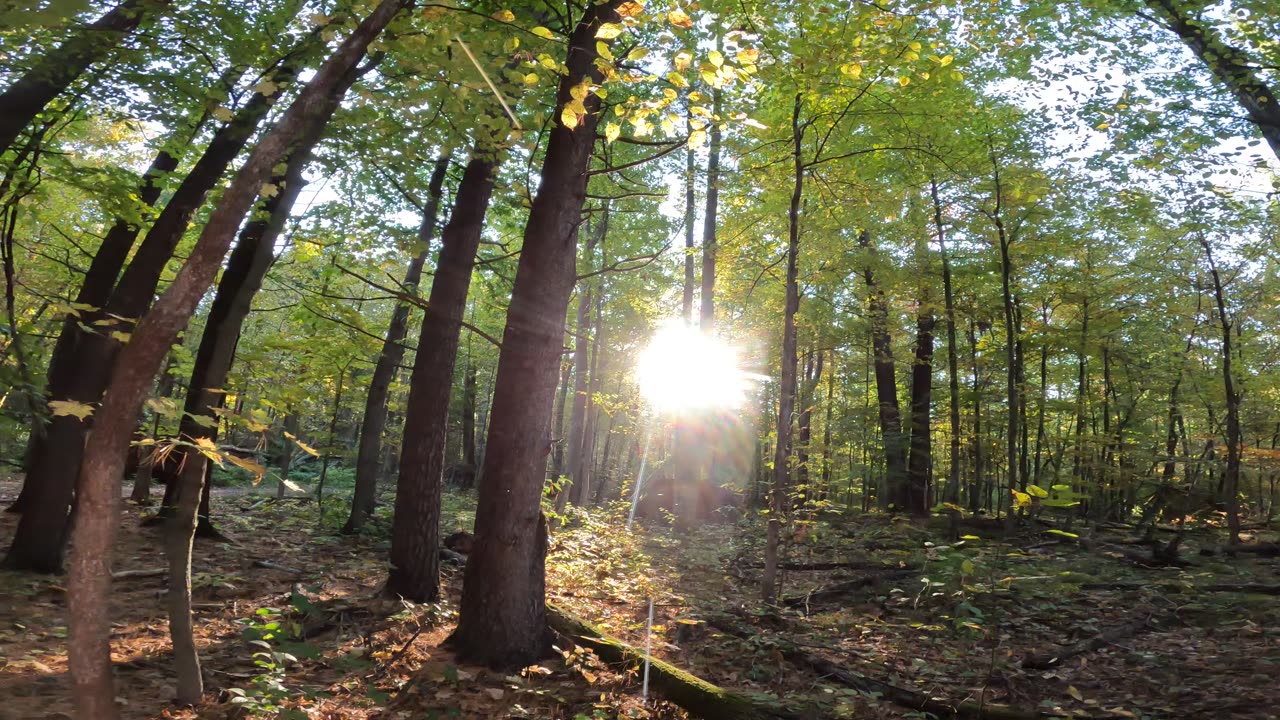 ππ Carry Out Research π¬π₯Όπ @ Jack Pine Trails π Fall Edition 0ct 3nd 2024 π In Ottawa π Canada ππMusicπ΅
