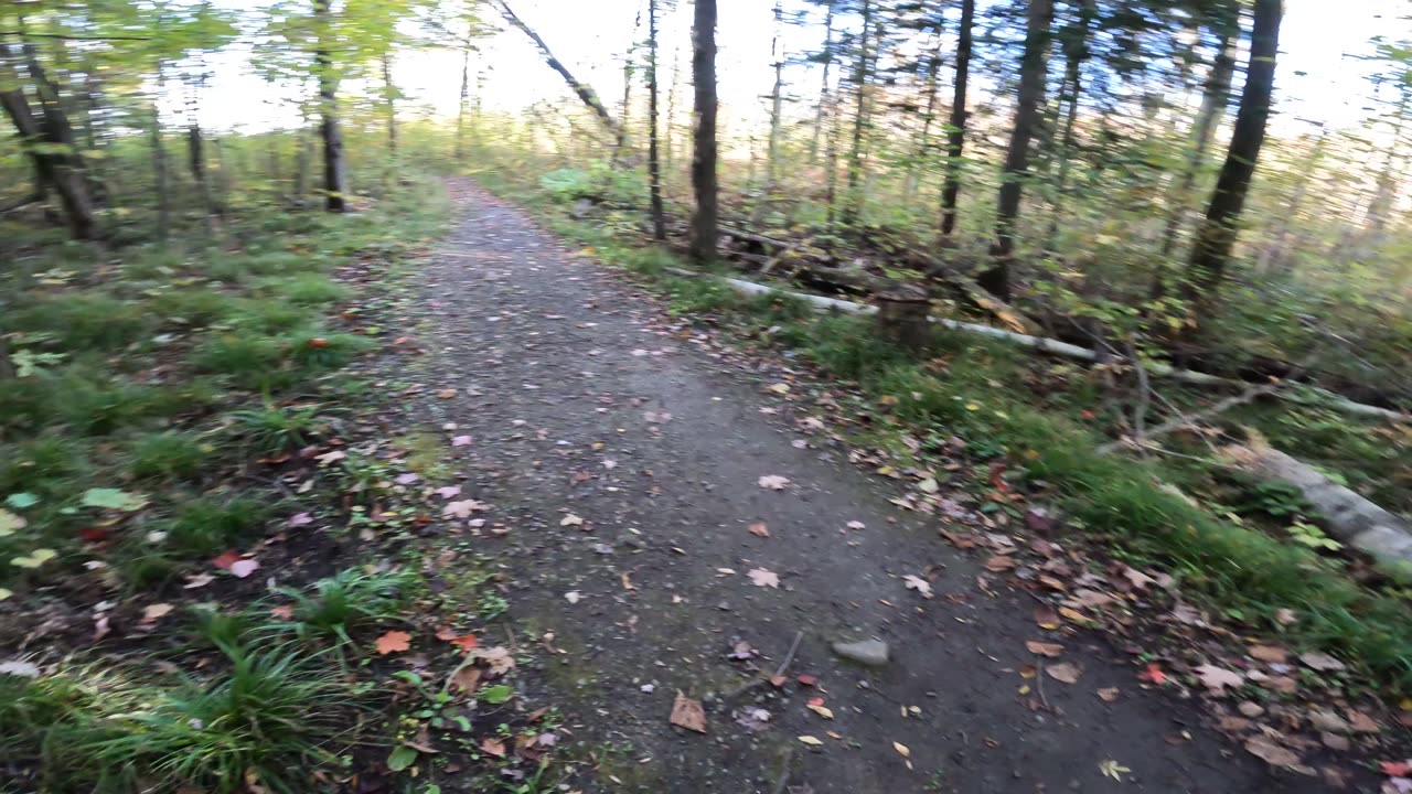 🦃🍗 Happy Thanksgiving Everyone 🍁🍂 Found Me Some Organic Turkey On My Hike In The Trails 🦃🍗