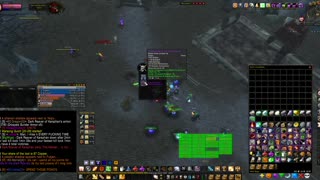 Turtle wow - PUG Dark Reaver - world boss - Paladin POV - 17 November