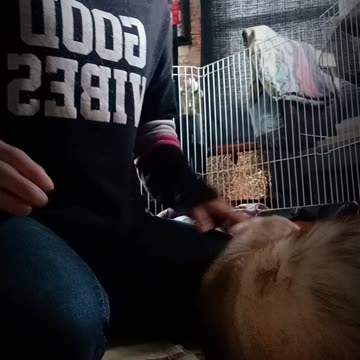 Romeo gives me a high five!!