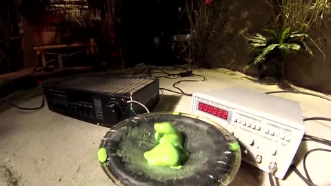 Slow-Mo Non-Newtonian Fluid on a Speaker