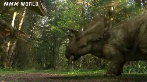 Tyrannosaurus vs Triceratops - DINOSAURS