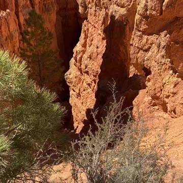 Hoo doos Bryce Canyon