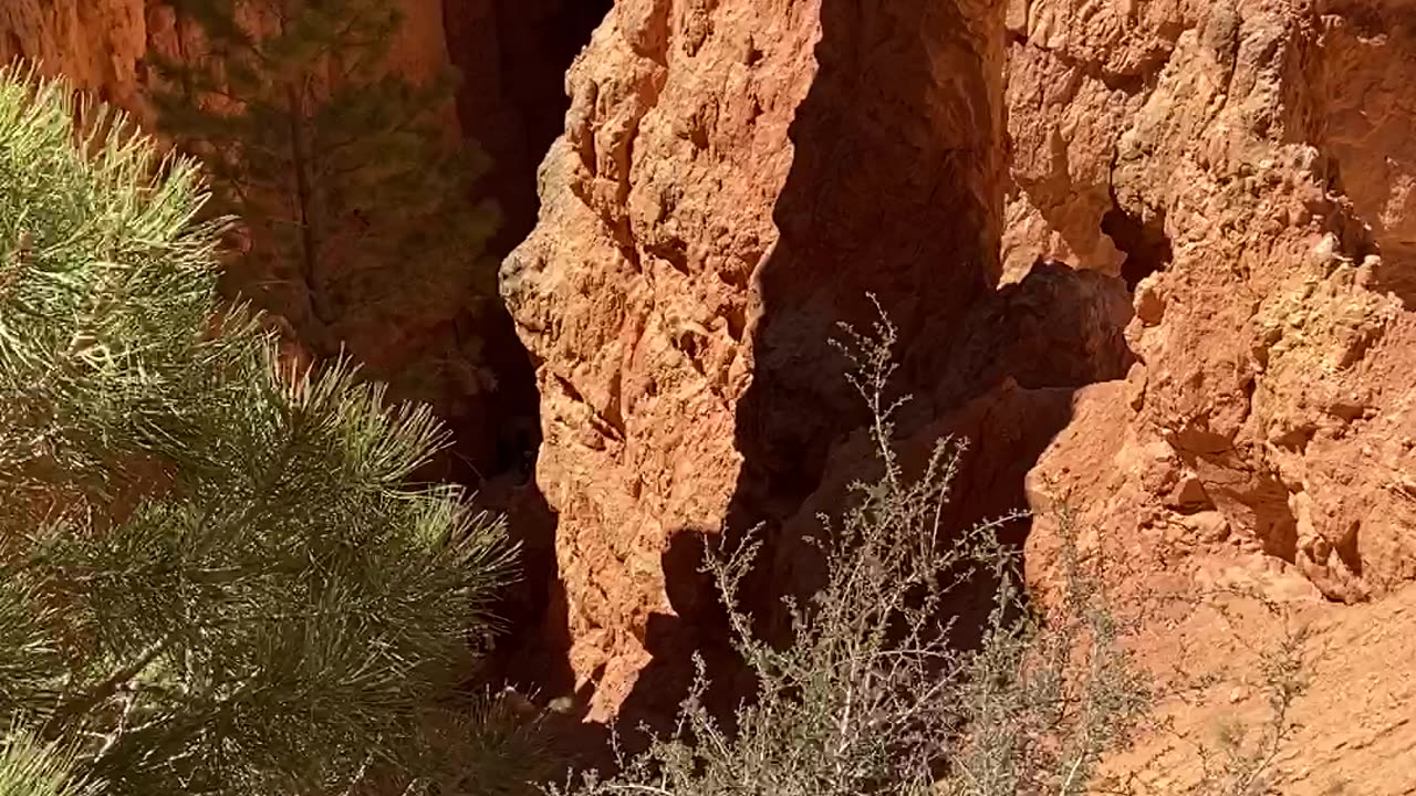 Hoo doos Bryce Canyon