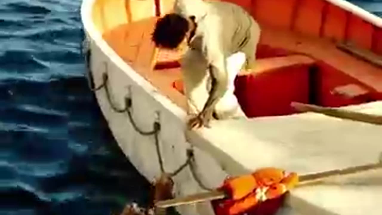 The Boy Gets Trapped In a Boat With a Tiger