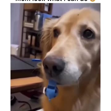 Mom look what i can do 😅