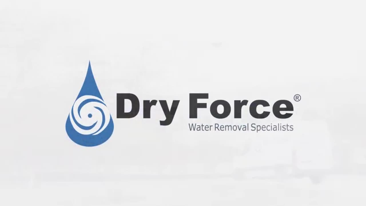 Get Emergency Water Cleanup and Restoration Experts | Dry force