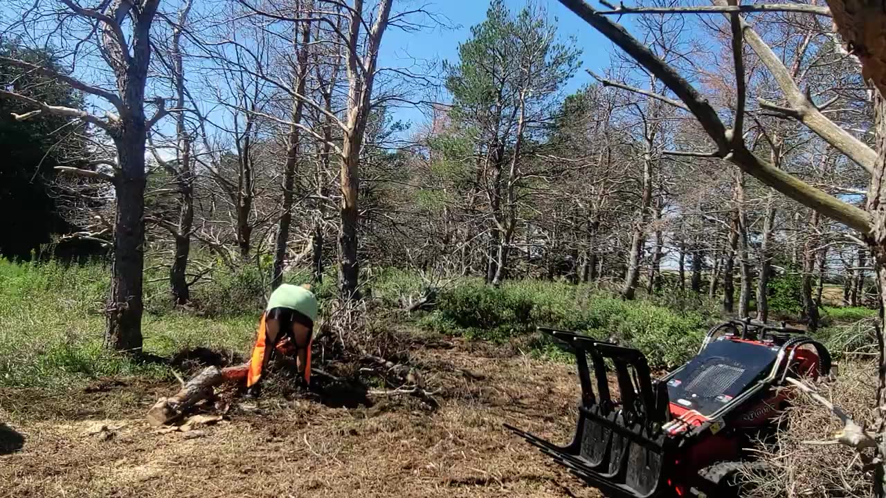 Cleaning Up Christmas Farm - 2nd Trip