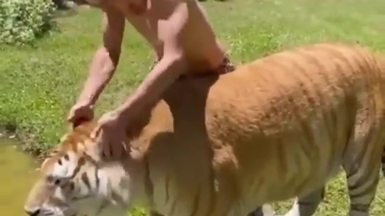 THE MOST RELATABLE ANIMAL ON INTERNET