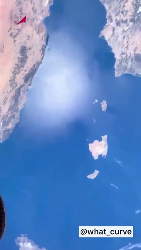 Fly shows up on international space station "livestream"