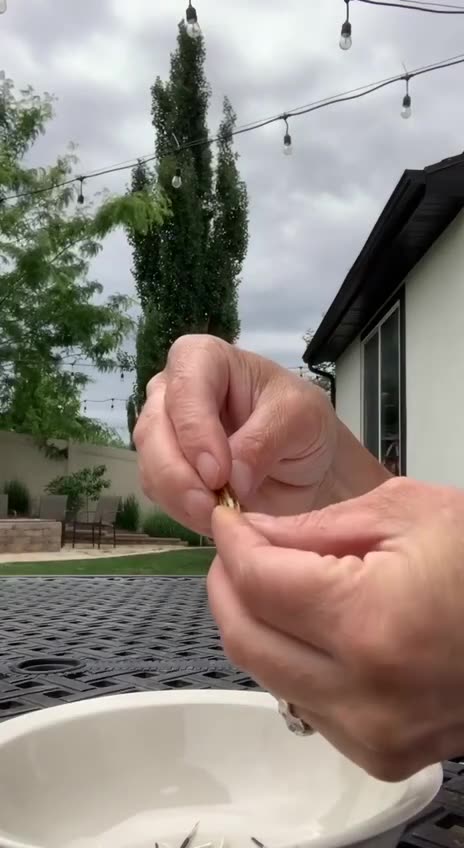 Do this with your flower garden 🌺 Join us: Farmer Lucy 👩‍🌾