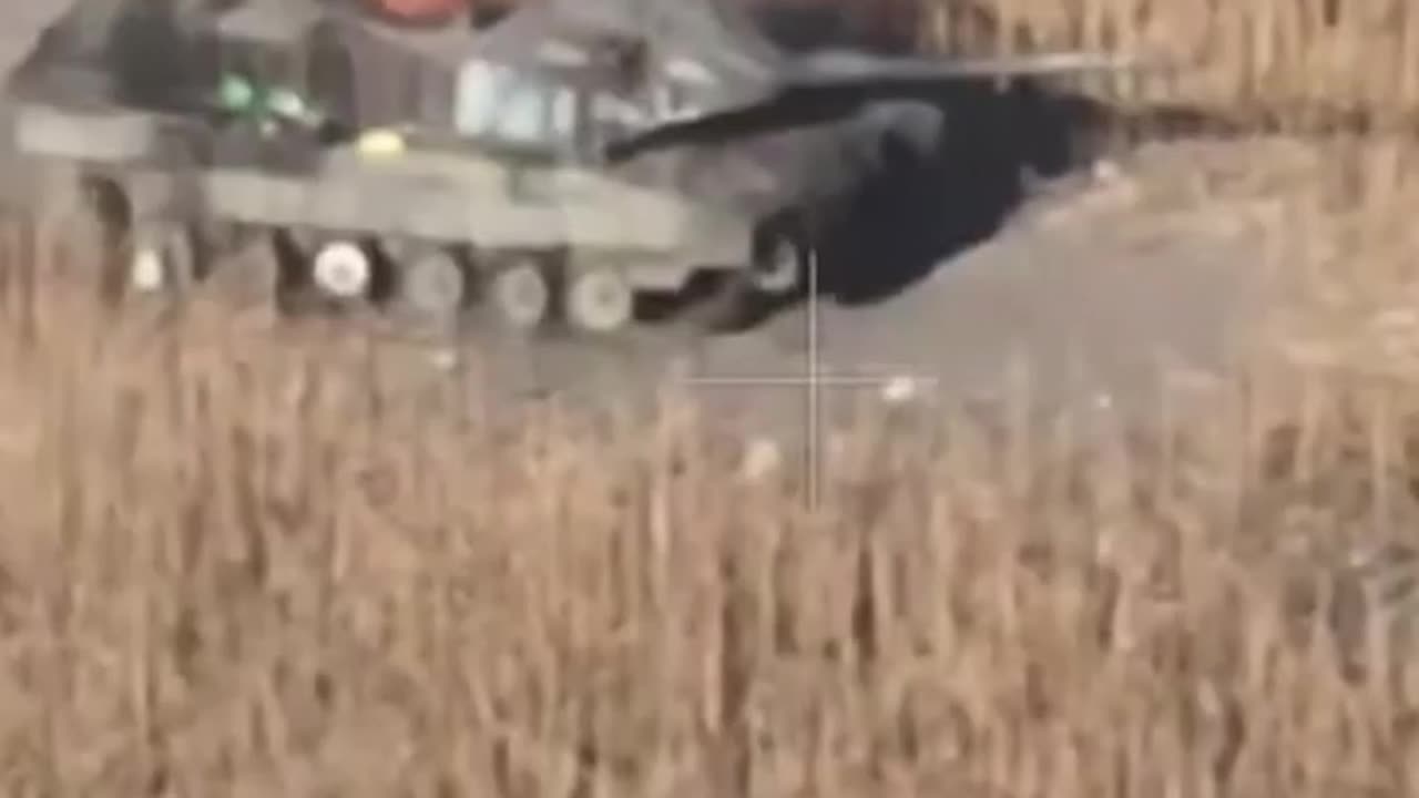 Special Military Operation in Ukraine