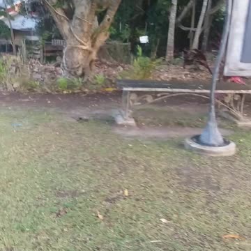 5.10.2024 Kuranda Neighbourhood Centre