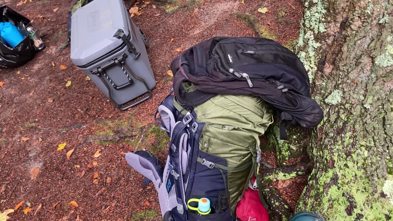 Hoel Pond, Saint Regis Canoe Area (Adirondacks State Park, NY) 9