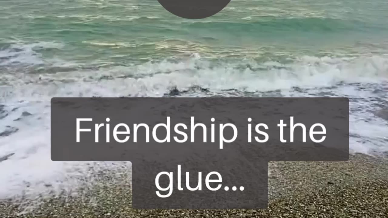 Friendship is the glue #shorts#viral#facts