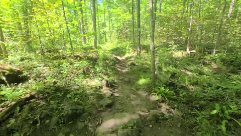 Hiking a Trail in Milton