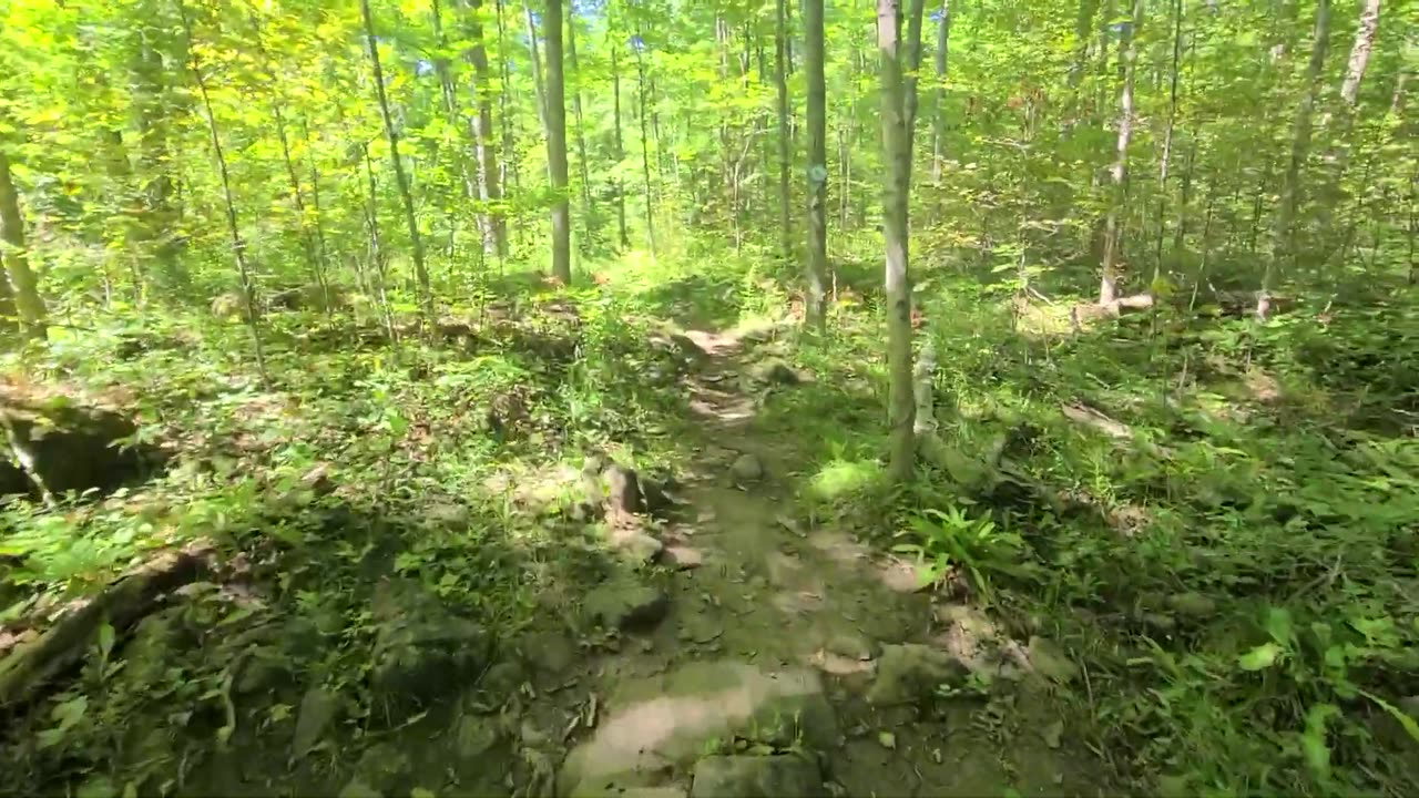 Hiking a Trail in Milton