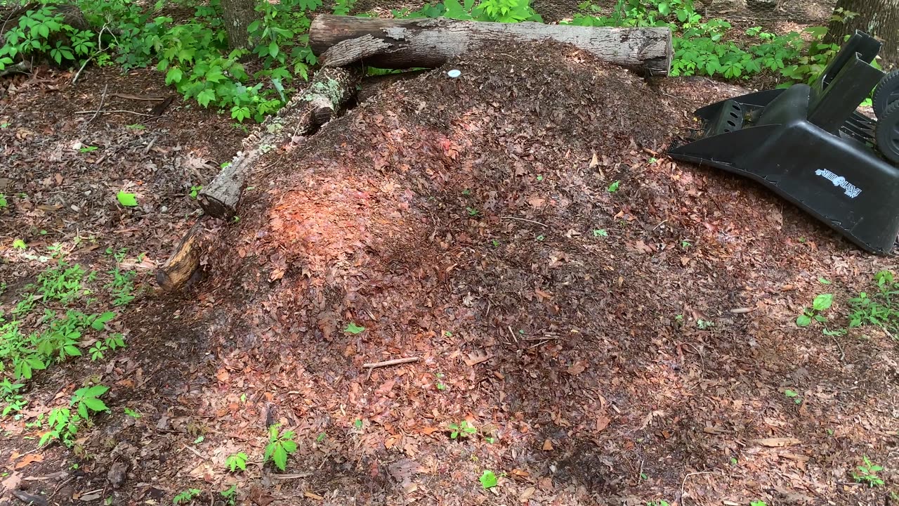 After the Storms: Walking through the beds