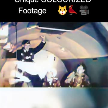 US Military Experiment, How Cats and Pigeons React in Zero Gravity - Unique COLOURIZED Footage 🇺🇸🐱🐦🎥