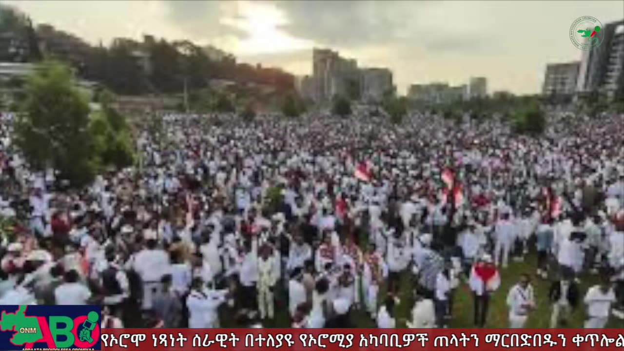 ጥቅምት 3፣ 2024 ONM-ABO እለታዊ የኦሮሞ ነፃነት ሰራዊትና የኦሮሚያ ውሎ!