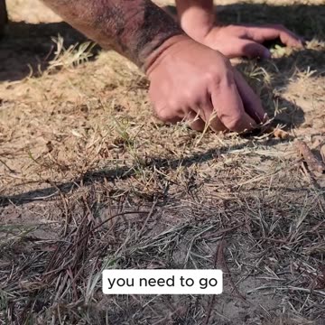 Stick and shadow survival compass