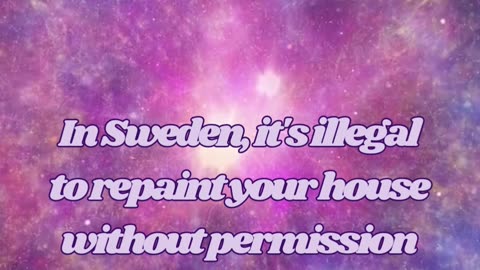 Strange Laws Around the World! 😱