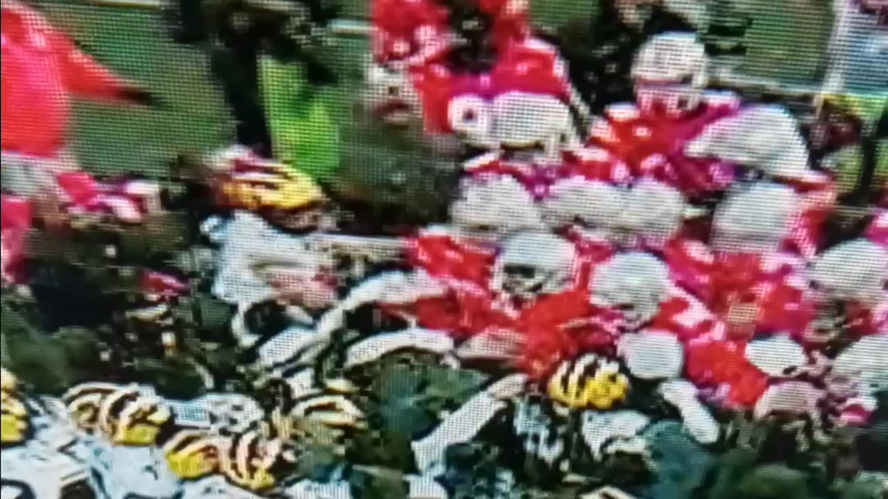 Brawl breaks out after Michigan vs Ohio state game