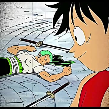 Only a select deserve your attention (One Piece)