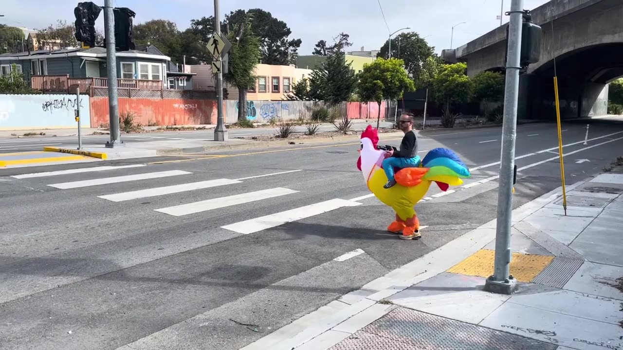 San Francisco Cops dress up in chicken costumes to catch speedy drivers.