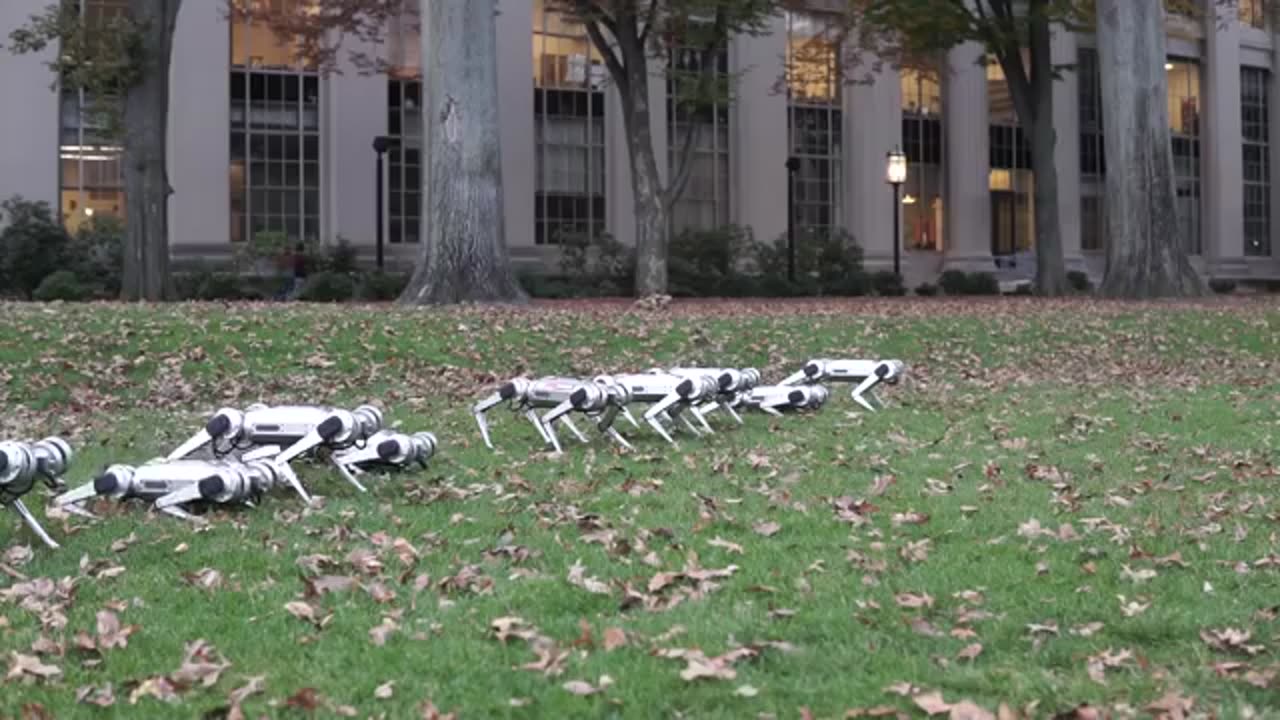 MIT's mini-cheetah quadruped robot