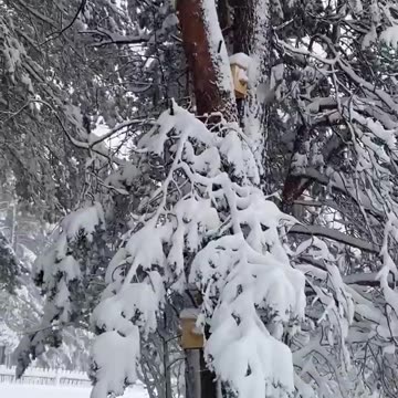Russians are covered in snow after the May floods: power outages and road