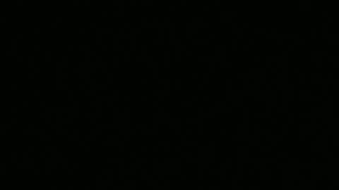 KCMN Presents - Teen Girl Fataly Hit During High Speed Police Chase