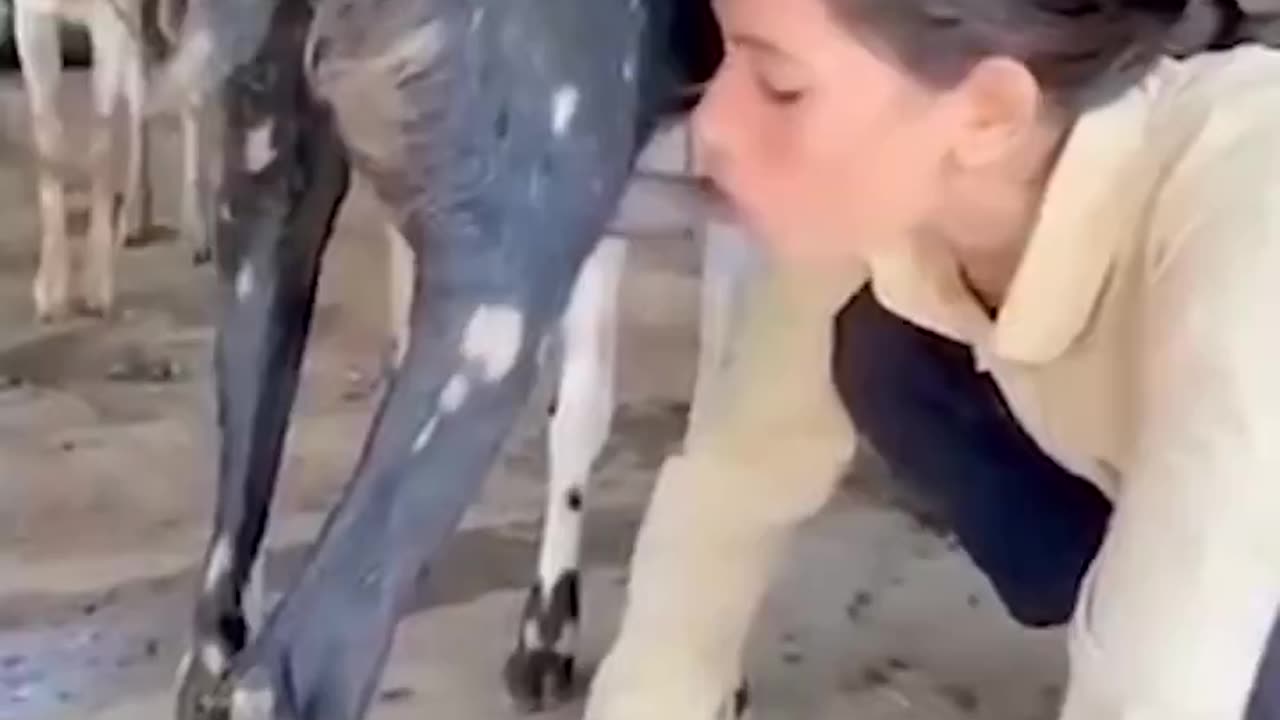 Sucking Out The Milk