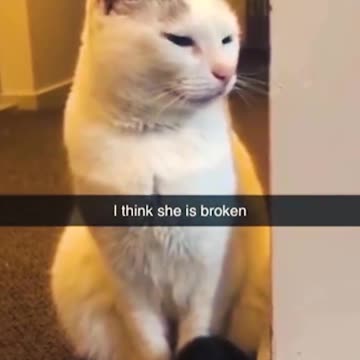 reason to smile because we already have to cry 23