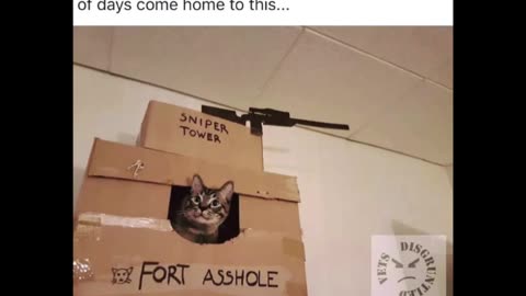 Random Memes 81