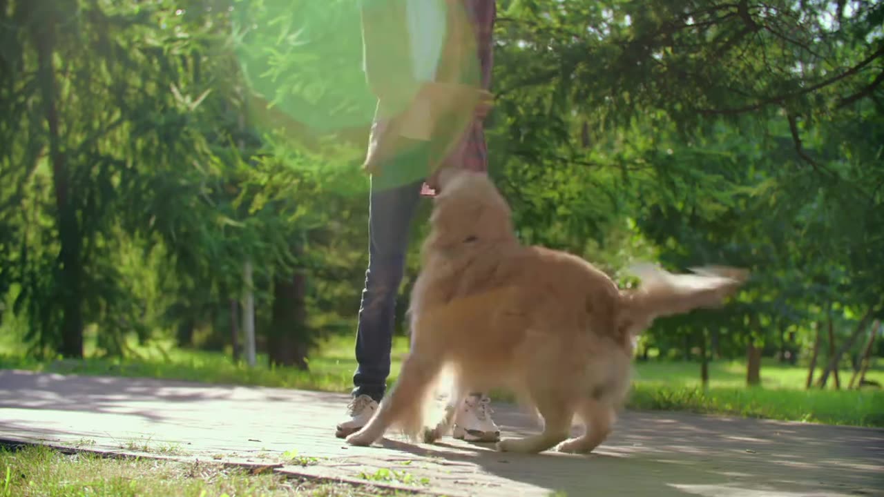 Boy Playing With His Dog