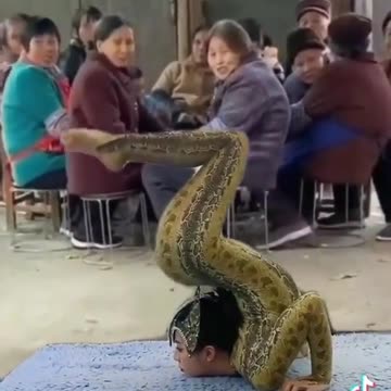 Yoga là từ các động tác uốn éo của loài rắn mà ra.