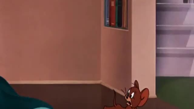 Tom and Jerry Cartoon