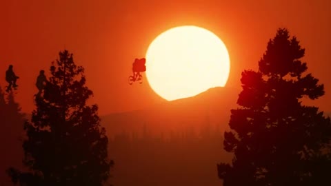 The Video Best in Cinematography