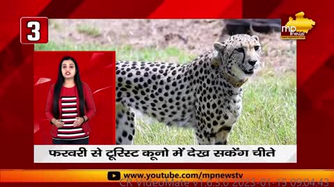 MLA रामबाई को आया गुस्सा, रिश्वतखोर बाबू को सिखाया सबक! MP News Tez Khabar